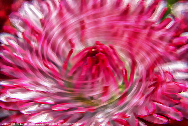 Abstract blurred close-up of a flower. Picture Board by Luigi Petro