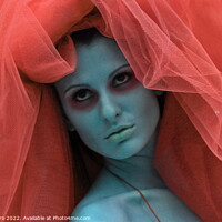 Buy canvas prints of Red veil around my head. by Luigi Petro