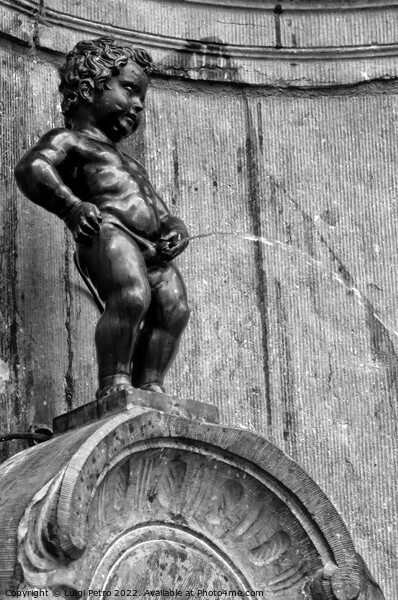World famous Manneken Pis , boy pissing, Brussels,Belgium. Picture Board by Luigi Petro