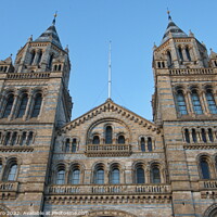 Buy canvas prints of Facade of Natural History Museum of London, United Kingdom. by Luigi Petro