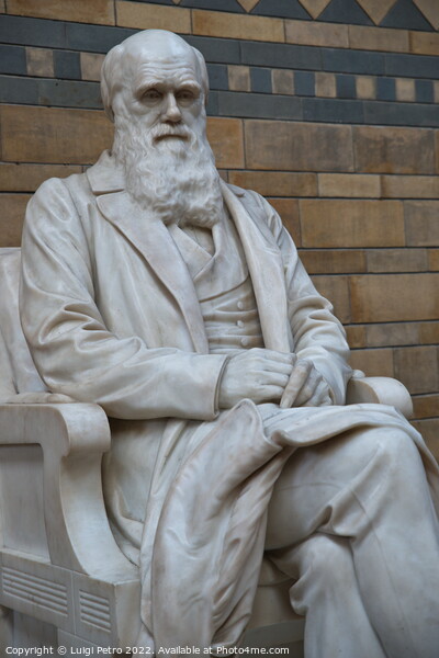 Statue of Charles Darwin in the Natural History Museum. London, UK. Picture Board by Luigi Petro