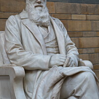 Buy canvas prints of Statue of Charles Darwin in the Natural History Museum. London, UK. by Luigi Petro
