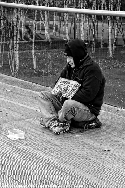 Help a Homeless Man Survive Winter Picture Board by Luigi Petro