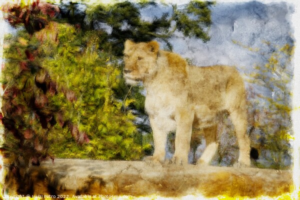 Regal Lioness on the Prowl Picture Board by Luigi Petro