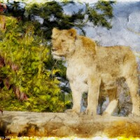 Buy canvas prints of Regal Lioness on the Prowl by Luigi Petro