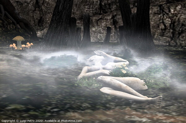 Female asleep in a forest. Picture Board by Luigi Petro