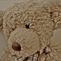 Buy canvas prints of Old Teddy Bear by Sue Bottomley