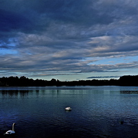 Buy canvas prints of Early Morning walk around the lake (2) by Sue Bottomley