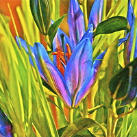Buy canvas prints of Cocktail Lily flower arrangement by Sue Bottomley