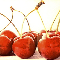 Buy canvas prints of Cherry delights by Sue Bottomley