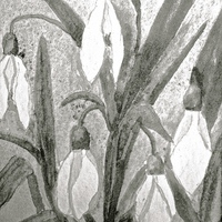 Buy canvas prints of  Black and White drawing effect of Snow drops by Sue Bottomley