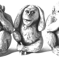 Buy canvas prints of  The Three Wise Monkeys by Sue Bottomley