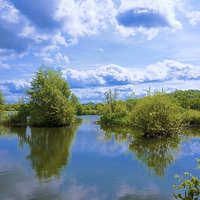 Buy canvas prints of Stockers Lake Nature Reserve Rickmansworth by Sue Bottomley