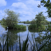 Buy canvas prints of Stockers Lake Nature Reserve Rickmansworth Hertfor by Sue Bottomley