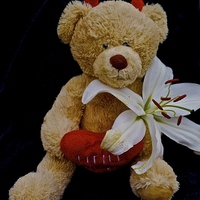 Buy canvas prints of  Little Devil Lily Teddy Bear by Sue Bottomley