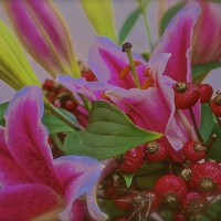 Buy canvas prints of Flower arrangement with stargazer Lilies  by Sue Bottomley