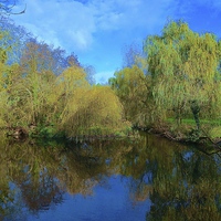 Buy canvas prints of  Cassiobury Park Nature Reserve  by Sue Bottomley
