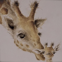 Buy canvas prints of  A Mothers Love  by Sue Bottomley