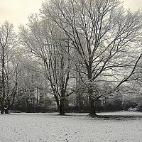 Buy canvas prints of Winter Tree Line Scene                             by Sue Bottomley