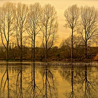 Buy canvas prints of  Trees reflection across the lake                  by Sue Bottomley