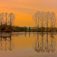 Buy canvas prints of Trees reflection across the lake                   by Sue Bottomley