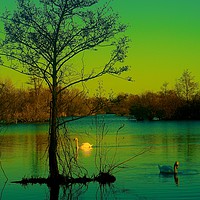Buy canvas prints of  Sunset over the lake                              by Sue Bottomley