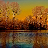 Buy canvas prints of Trees across the lake, Autumn Colours              by Sue Bottomley