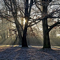 Buy canvas prints of  Frosty Morning Sunrise                            by Sue Bottomley