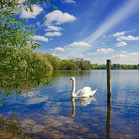 Buy canvas prints of Springtime across the lake                         by Sue Bottomley