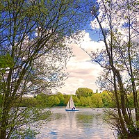 Buy canvas prints of Small sailing boat on the lake between some tree's by Sue Bottomley