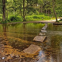 Buy canvas prints of Stepping Stones by Jon Saiss
