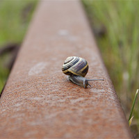 Buy canvas prints of Snail Rail by James Woodward