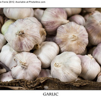 Buy canvas prints of Fresh Garlic at the Market by Zoe Ferrie