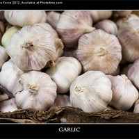 Buy canvas prints of Fresh Garlic at the Market by Zoe Ferrie