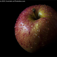 Buy canvas prints of An Apple with Waterdrops by Zoe Ferrie