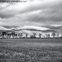 Buy canvas prints of Misty Day on The Trossachs by Zoe Ferrie