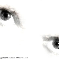 Buy canvas prints of Eyes - That Stare by Brian  Raggatt