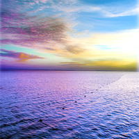 Buy canvas prints of Sharm Sunrise 1 by Brian  Raggatt