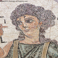 Buy canvas prints of Roman Mosaic Paphos Cyprus Detail by Brian  Raggatt