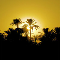 Buy canvas prints of Luxor Nile Sunset by Brian  Raggatt