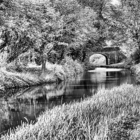 Buy canvas prints of Spring Time Canal BW by Brian  Raggatt