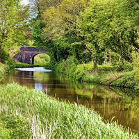 Buy canvas prints of Spring Time Canal by Brian  Raggatt