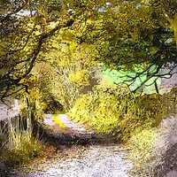 Buy canvas prints of Peak District lane watercolour by Brian  Raggatt