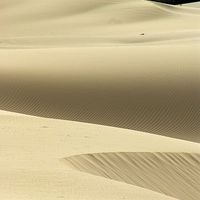Buy canvas prints of Island Desert Dunes by Brian  Raggatt