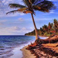 Buy canvas prints of  Tropical Island Beach by Brian  Raggatt