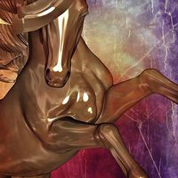Buy canvas prints of  War Horse by Brian  Raggatt