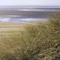 Buy canvas prints of  Swansea Bay Grass Dunes by Brian  Raggatt