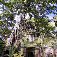Buy canvas prints of  Angkor Temple Doorway by Brian  Raggatt