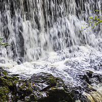 Buy canvas prints of Waterfall on the Silver river, Slieve Blooms, Ireland by Phil Crean