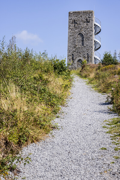 Wellington Tower Grange Crag Tipperary Ireland Picture Board by Phil Crean
